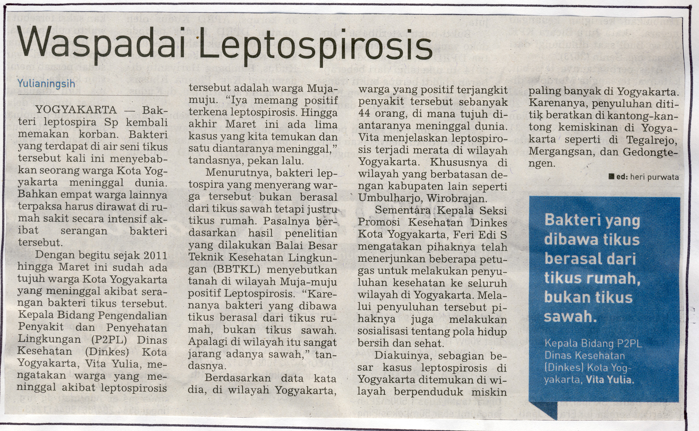 Kliping jogja terbaru